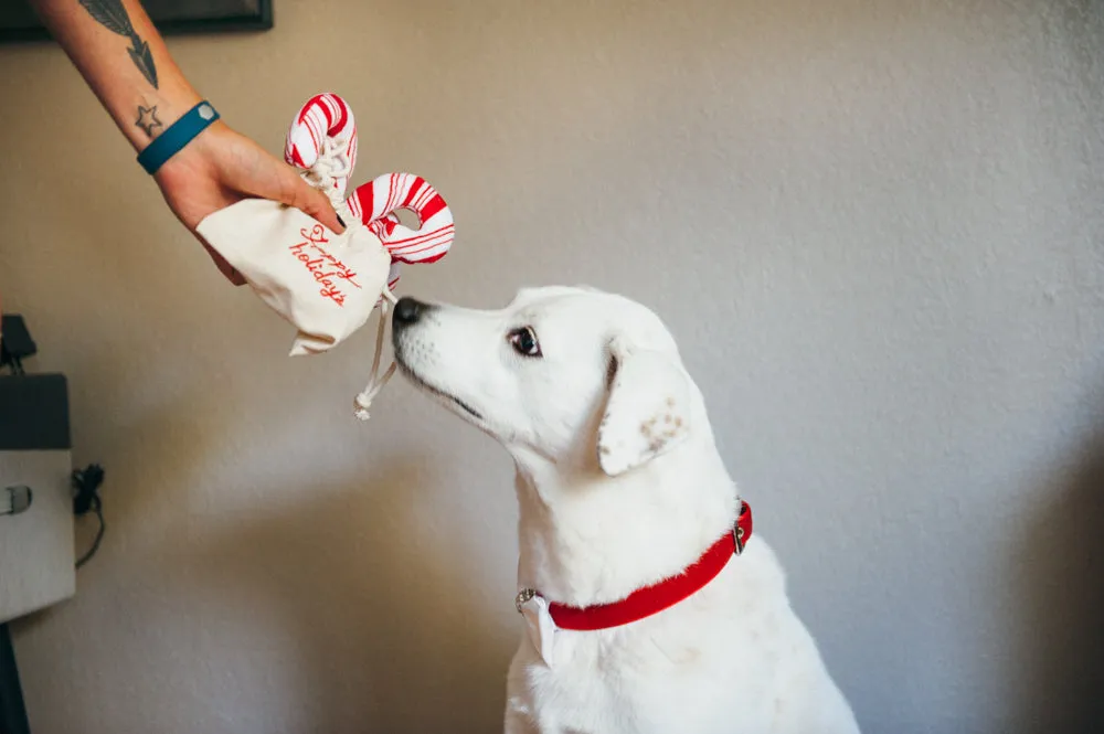 Holiday Classic Cheerful Candy Canes