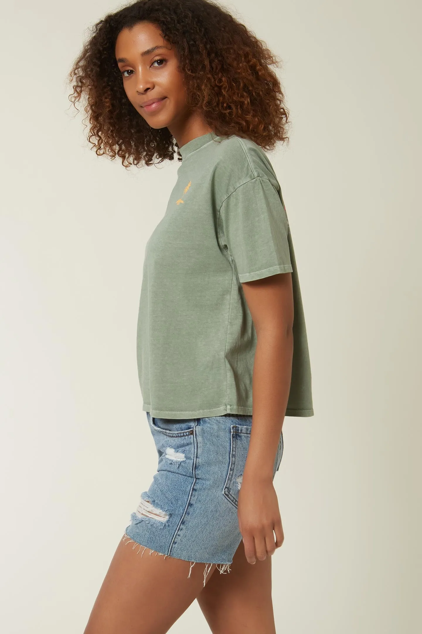 LADIES LE ISLAND SHORT SLEEVE TEE